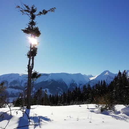 Chalupka U Babicky Villa Ždiar Dış mekan fotoğraf