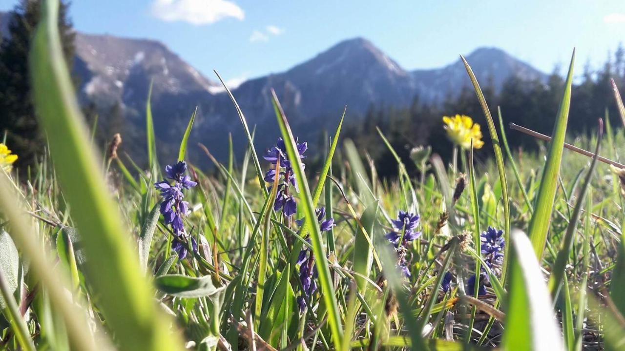 Chalupka U Babicky Villa Ždiar Dış mekan fotoğraf