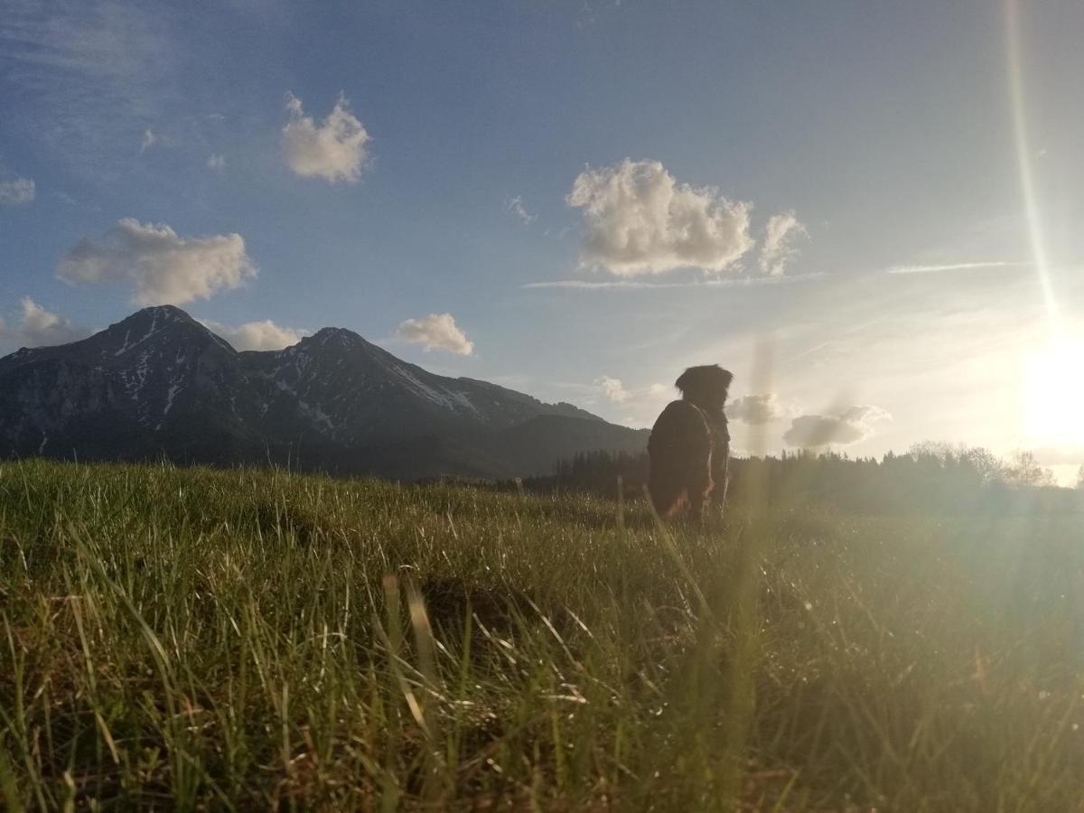 Chalupka U Babicky Villa Ždiar Dış mekan fotoğraf