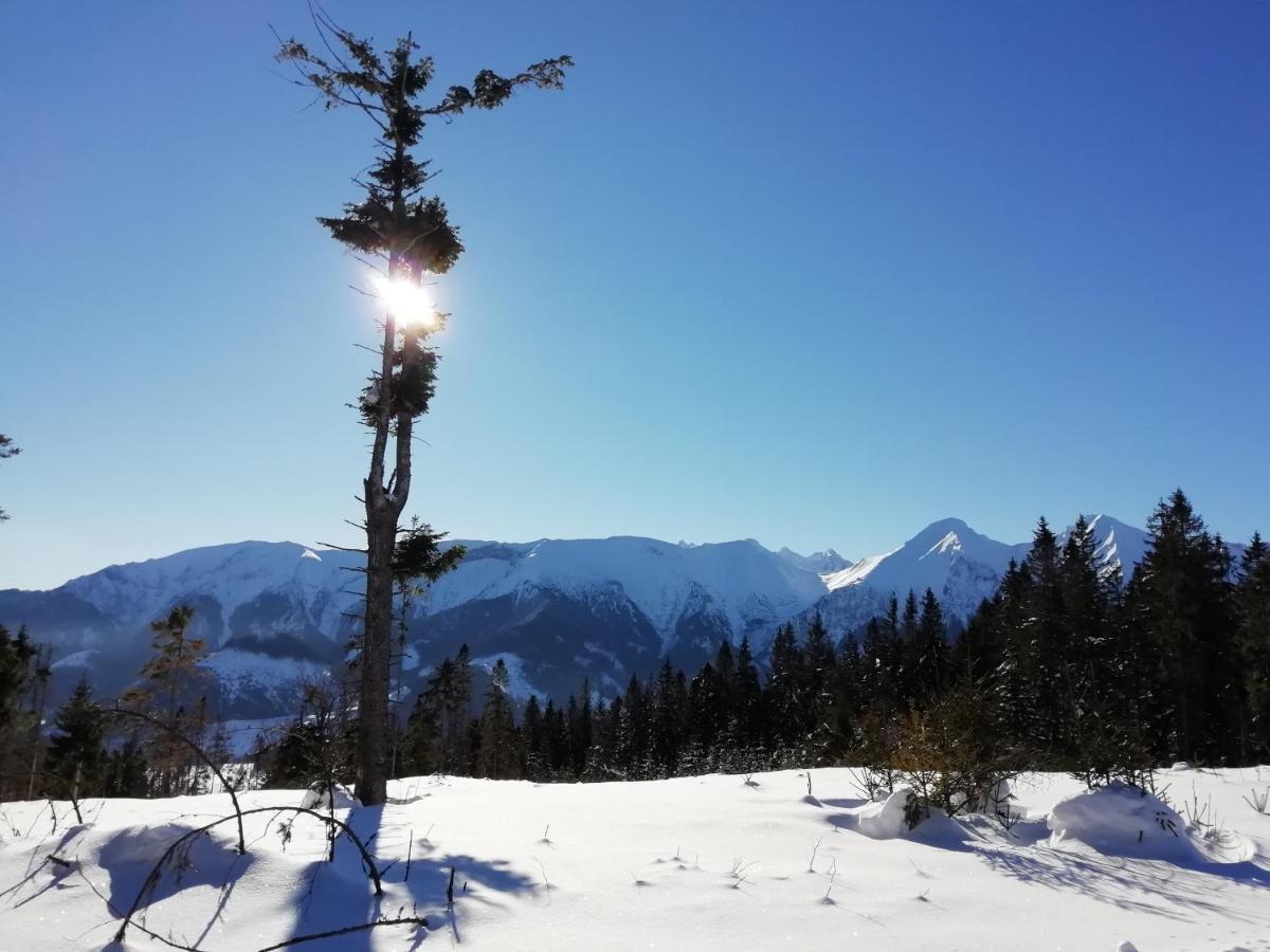 Chalupka U Babicky Villa Ždiar Dış mekan fotoğraf